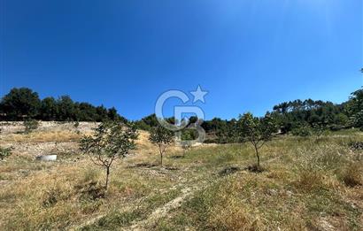 Muğla Günlüce 2332 m2 Satılık Tarla 