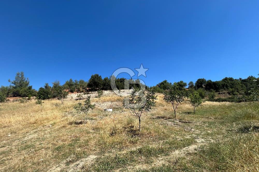 Muğla Günlüce 2332 m2 Satılık Tarla 