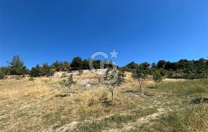 Muğla Günlüce 2332 m2 Satılık Tarla 