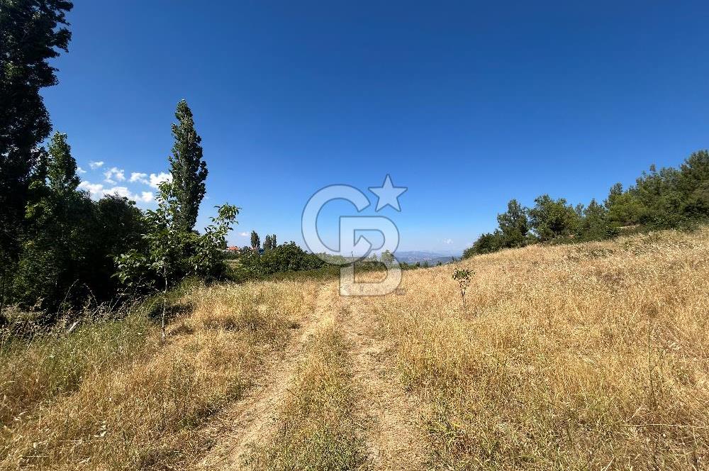 Muğla Günlüce 2332 m2 Satılık Tarla 