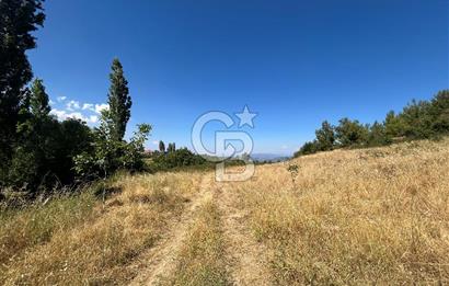 Muğla Günlüce 2332 m2 Satılık Tarla 