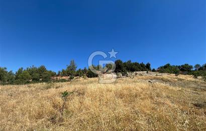 Muğla Günlüce 2332 m2 Satılık Tarla 