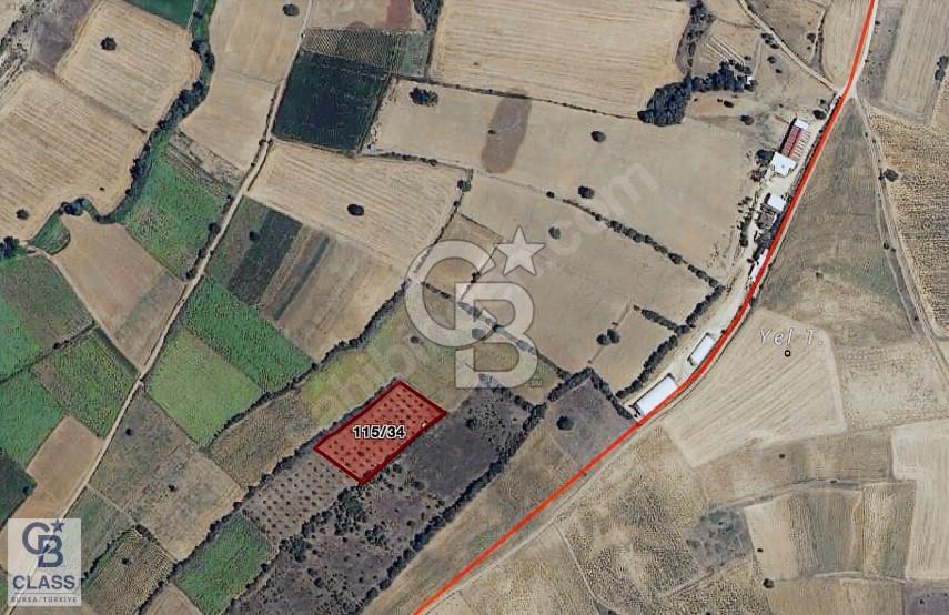 CB CLASS YENİŞEHİR YENİTARIM OSB 3.800 m2 SATILIK TARLA