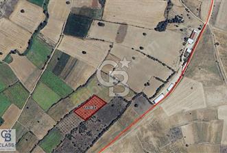 CB CLASS YENİŞEHİR YENİTARIM OSB 3.800 m2 SATILIK TARLA
