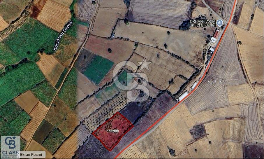 CB CLASS YENİŞEHİR YENİ TARIM OSB YE KOMŞU SATILIK TARLA