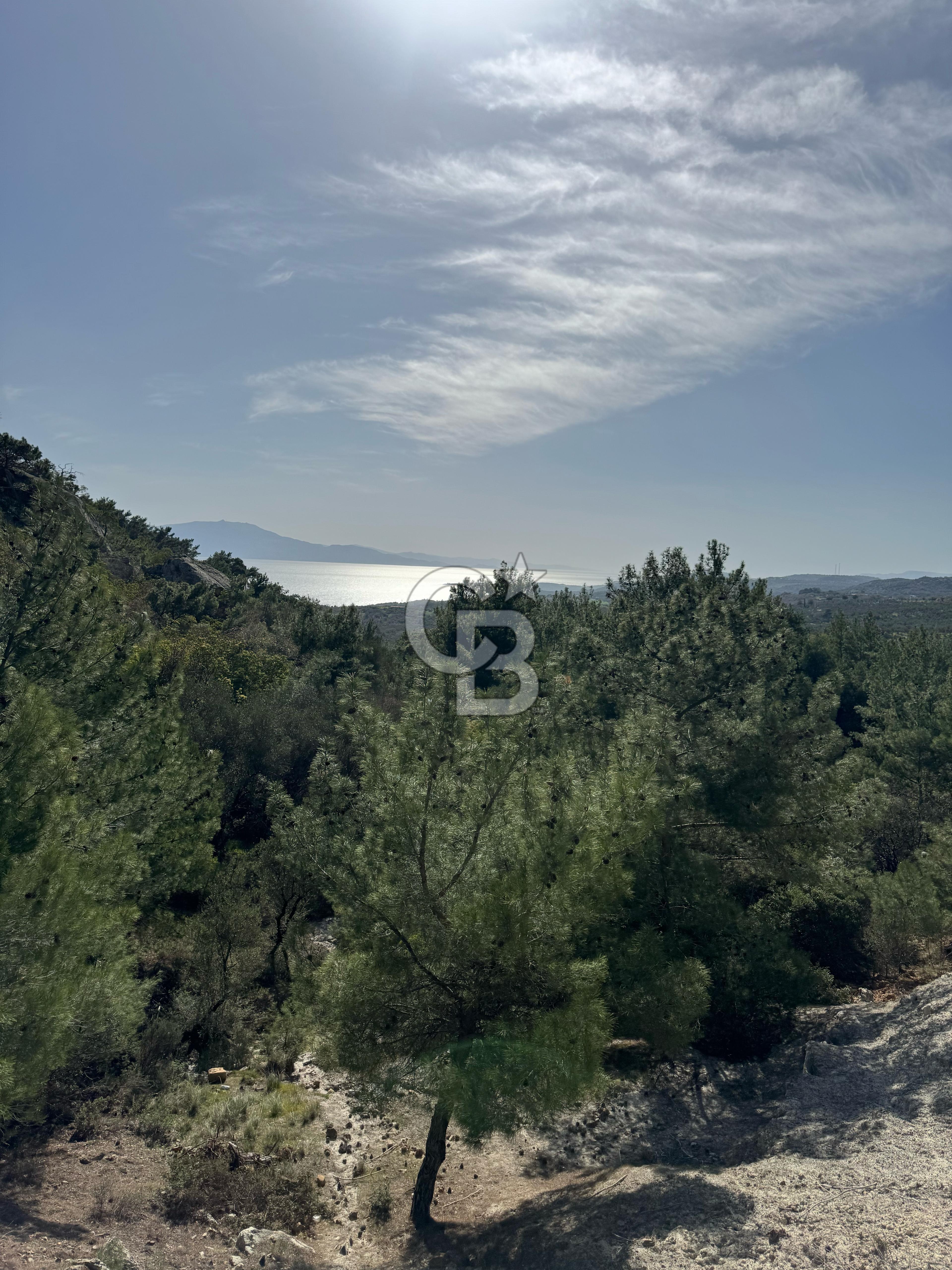 ÇANAKKALE AYVACIK'TA SATILIK MÜKEMMEL ARAZİ