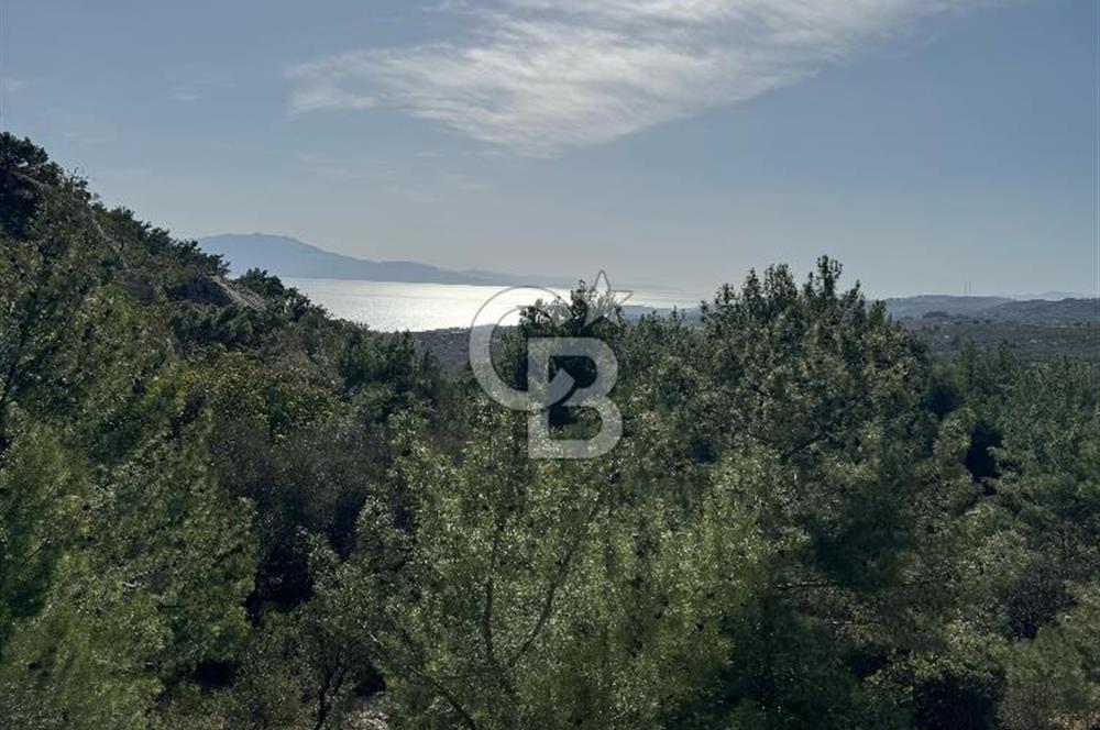 ÇANAKKALE AYVACIK'TA SATILIK MÜKEMMEL ARAZİ