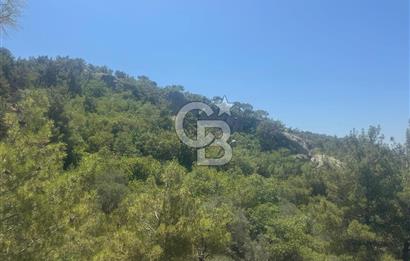 ÇANAKKALE AYVACIK'TA SATILIK MÜKEMMEL ARAZİ