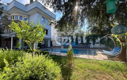 Dragos Orhangazi caddesi üzerinde çok prestijli işyeri