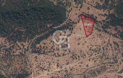  ÇANAKKALE AYVACIK PAŞAKÖY DENİZ MANZARALI YOLU OLAN 5001 M2 ARSA