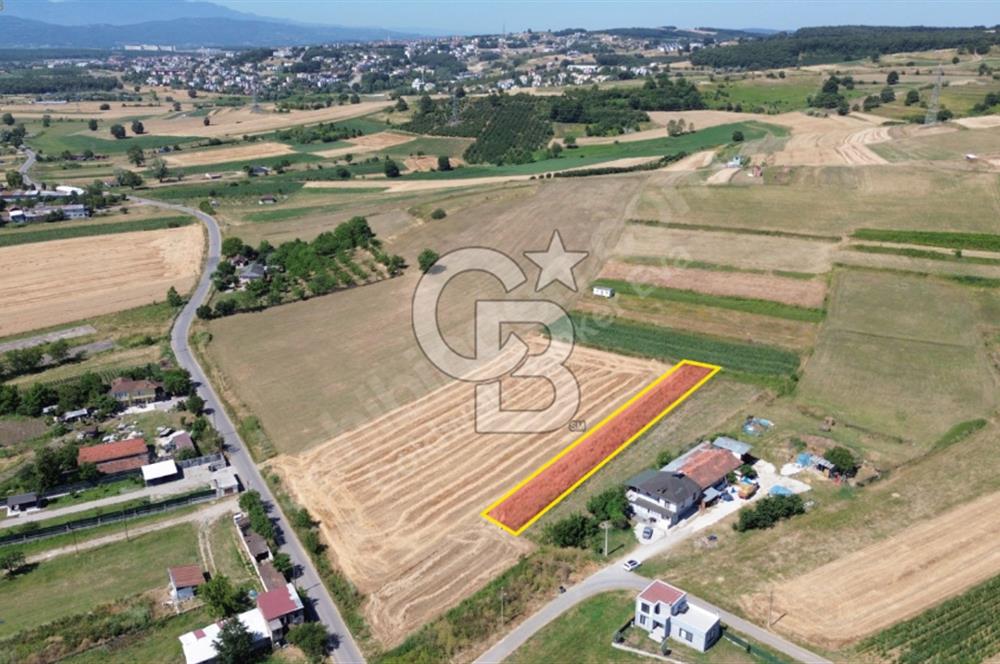 Doğa İçinde, Şehir Yakını! Adapazarında Satılık Tarla