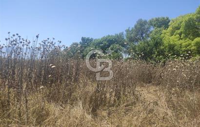 Manisa Yunusemre Üçpınar'da satılık tarla