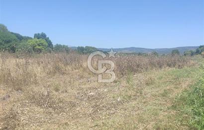 Manisa Yunusemre Üçpınar'da satılık tarla