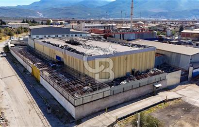 Bornova Doğanlar Satılık 4.000 m2 İşyeri