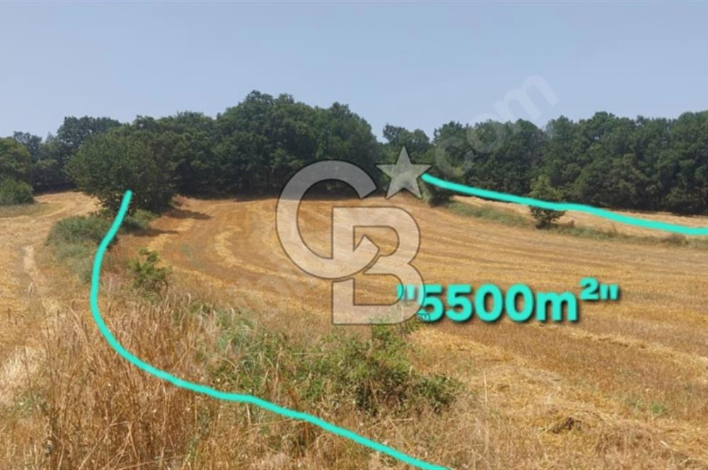 ÇANAKKALE/BİGA'DA DEREYE CEPHE,YOLU OLAN "5550M2"HARİKA ARAZİ.