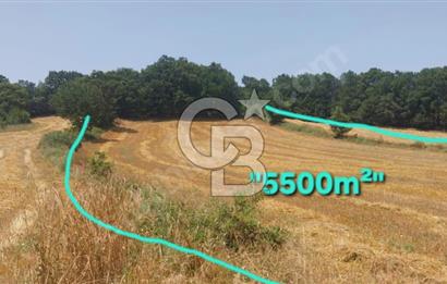 ÇANAKKALE/BİGA'DA DEREYE CEPHE,YOLU OLAN "5550M2"HARİKA ARAZİ.