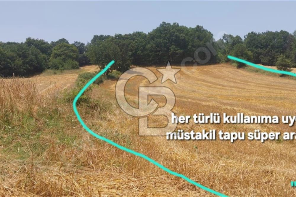 ÇANAKKALE/BİGA'DA DEREYE CEPHE,YOLU OLAN "5550M2"HARİKA ARAZİ.