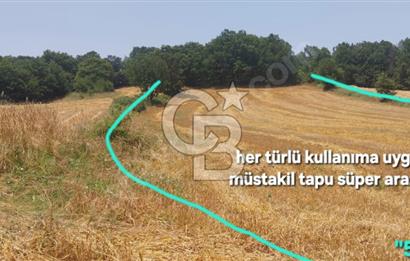 ÇANAKKALE/BİGA'DA DEREYE CEPHE,YOLU OLAN "5550M2"HARİKA ARAZİ.