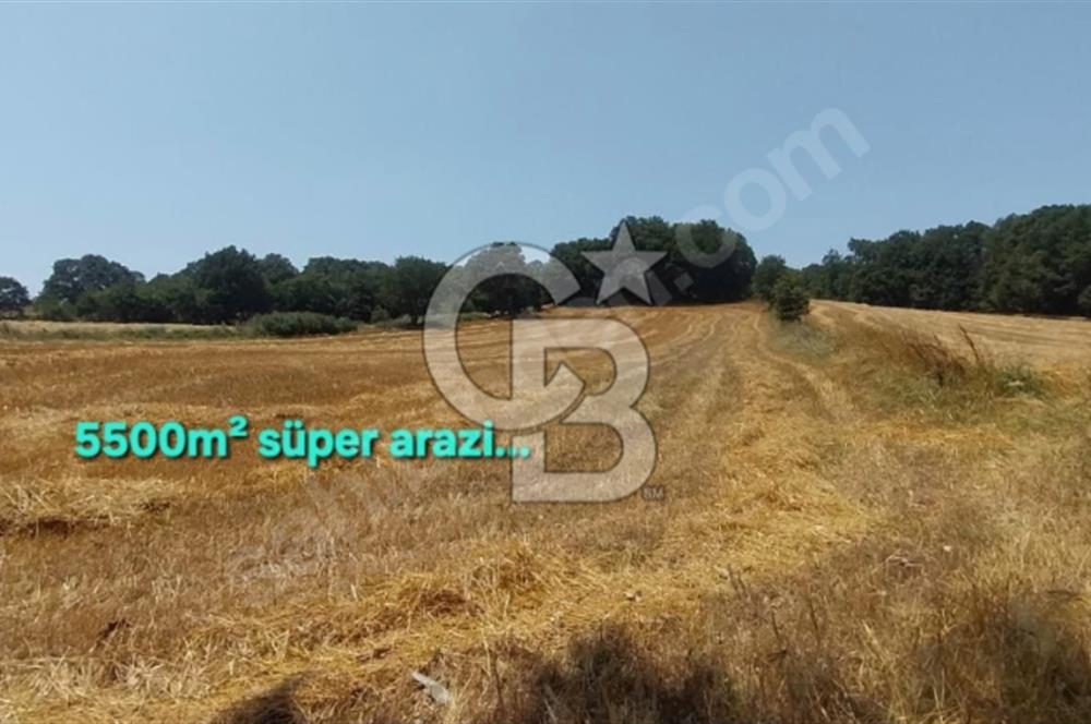 ÇANAKKALE/BİGA'DA DEREYE CEPHE,YOLU OLAN "5550M2"HARİKA ARAZİ.