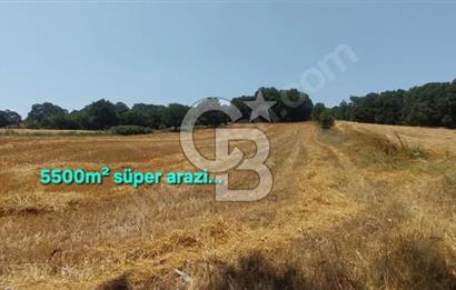 ÇANAKKALE/BİGA'DA DEREYE CEPHE,YOLU OLAN "5550M2"HARİKA ARAZİ.