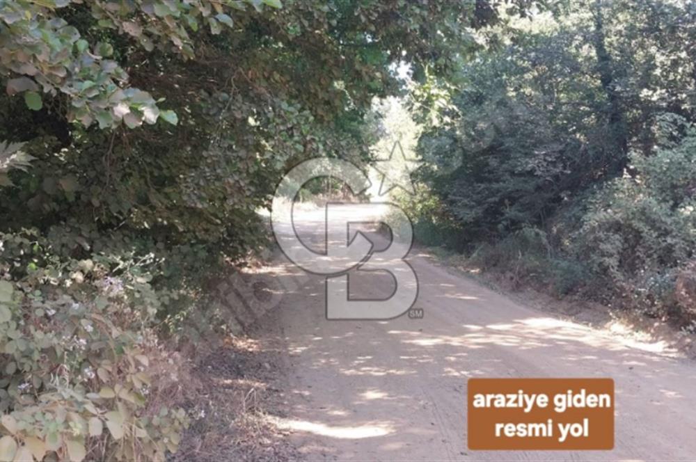 ÇANAKKALE/BİGA'DA DEREYE CEPHE,YOLU OLAN "5550M2"HARİKA ARAZİ.