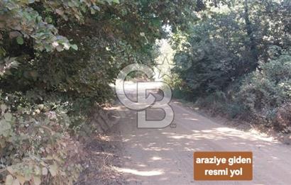 ÇANAKKALE/BİGA'DA DEREYE CEPHE,YOLU OLAN "5550M2"HARİKA ARAZİ.