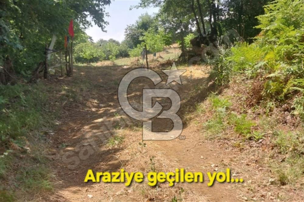 ÇANAKKALE/BİGA'DA DEREYE CEPHE,YOLU OLAN "5550M2"HARİKA ARAZİ.