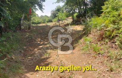 ÇANAKKALE/BİGA'DA DEREYE CEPHE,YOLU OLAN "5550M2"HARİKA ARAZİ.