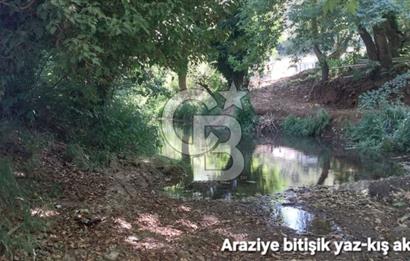 ÇANAKKALE/BİGA'DA DEREYE CEPHE,YOLU OLAN "5550M2"HARİKA ARAZİ.