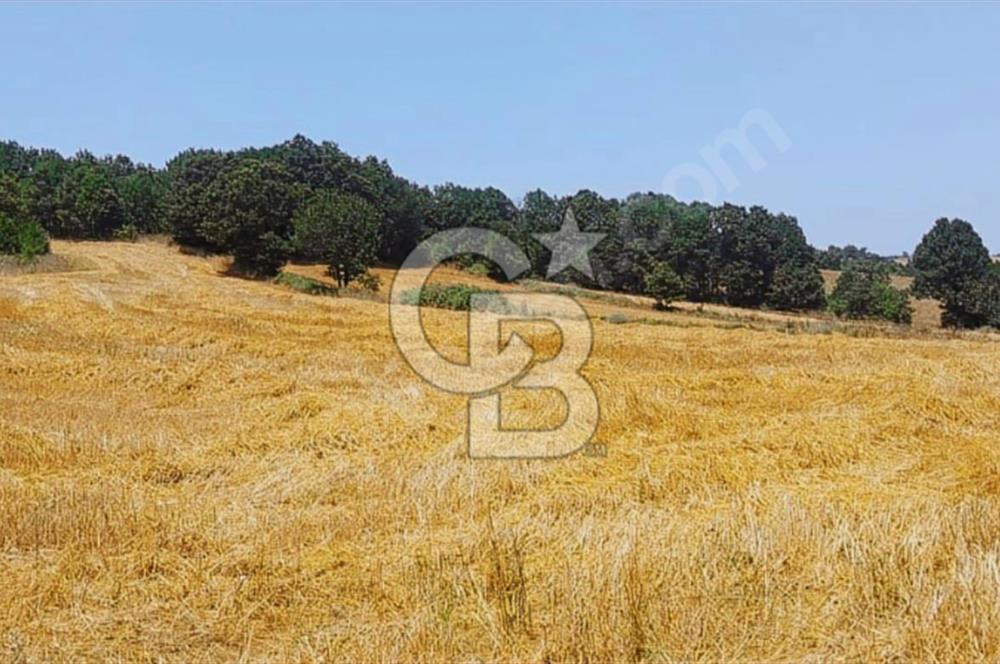 ÇANAKKALE/BİGA'DA DEREYE CEPHE,YOLU OLAN "5550M2"HARİKA ARAZİ.