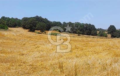 ÇANAKKALE/BİGA'DA DEREYE CEPHE,YOLU OLAN "5550M2"HARİKA ARAZİ.