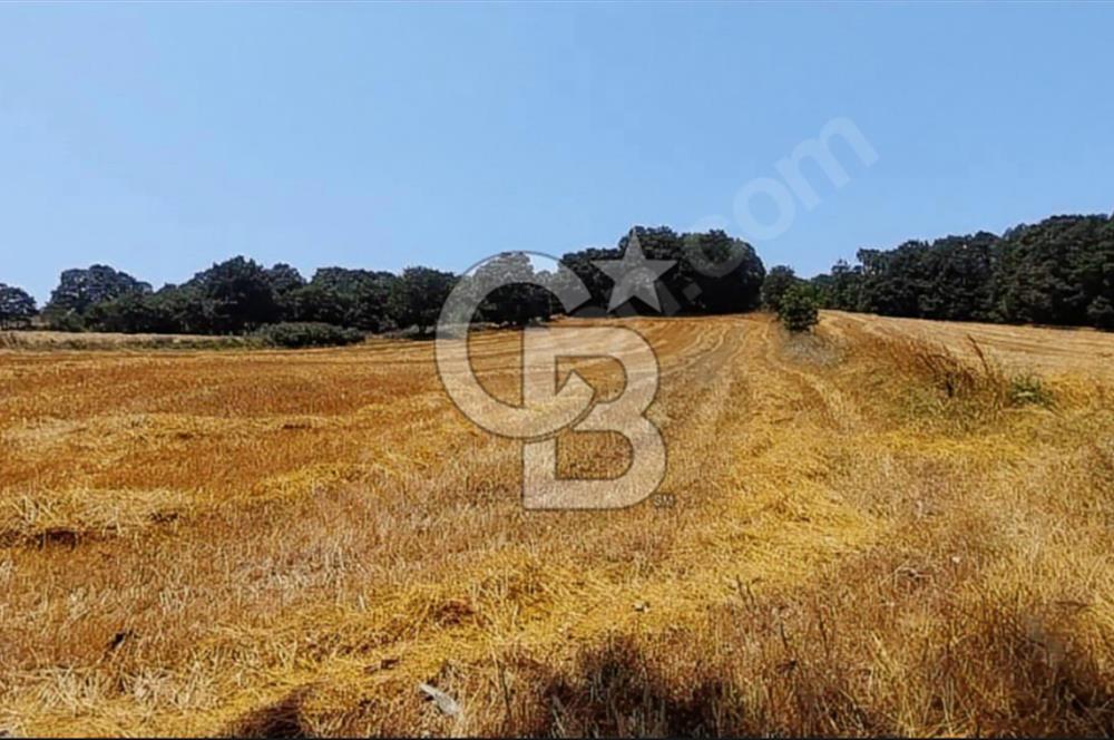 ÇANAKKALE/BİGA'DA DEREYE CEPHE,YOLU OLAN "5550M2"HARİKA ARAZİ.