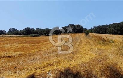 ÇANAKKALE/BİGA'DA DEREYE CEPHE,YOLU OLAN "5550M2"HARİKA ARAZİ.