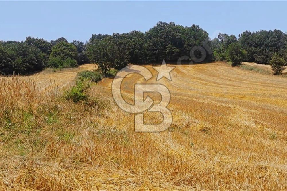 ÇANAKKALE/BİGA'DA DEREYE CEPHE,YOLU OLAN "5550M2"HARİKA ARAZİ.