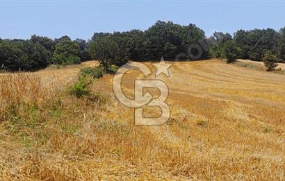 ÇANAKKALE/BİGA'DA DEREYE CEPHE,YOLU OLAN "5550M2"HARİKA ARAZİ.