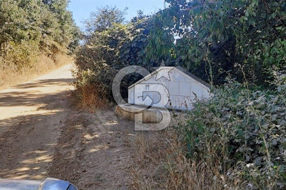 ÇANAKKALE/BİGA'DA DEREYE CEPHE,YOLU OLAN "5550M2"HARİKA ARAZİ.