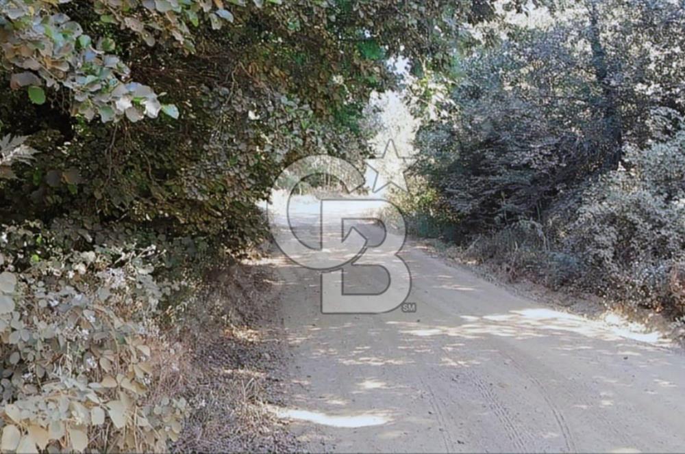 ÇANAKKALE/BİGA'DA DEREYE CEPHE,YOLU OLAN "5550M2"HARİKA ARAZİ.