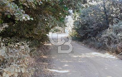 ÇANAKKALE/BİGA'DA DEREYE CEPHE,YOLU OLAN "5550M2"HARİKA ARAZİ.