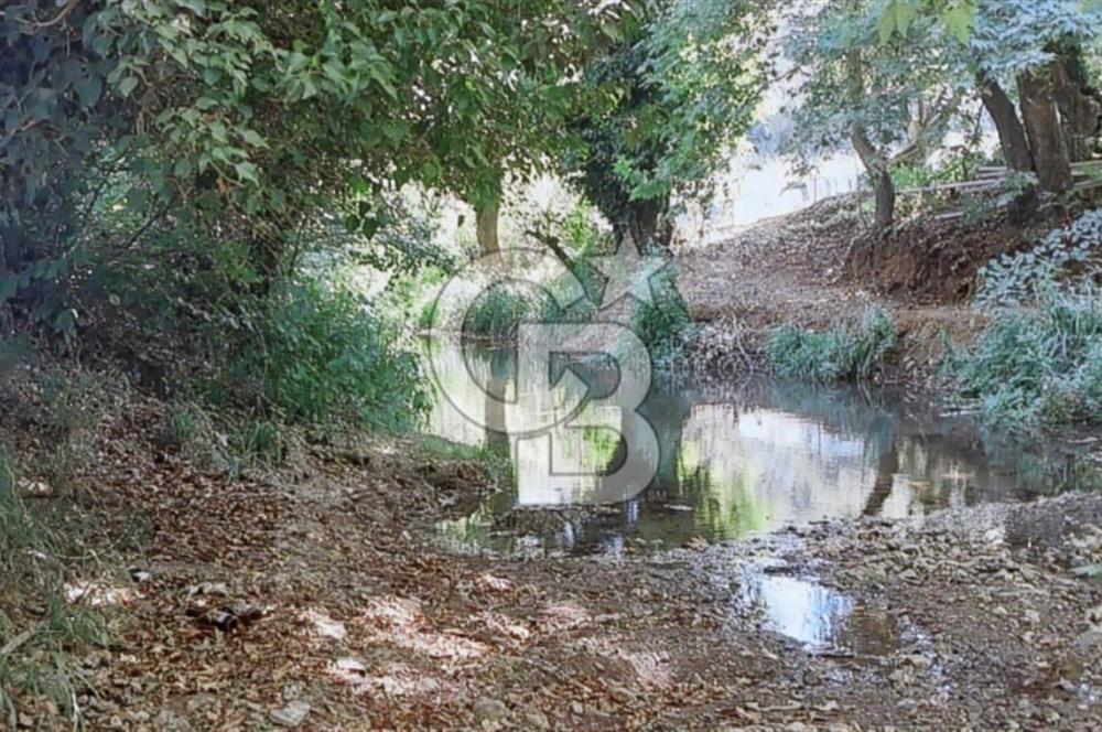 ÇANAKKALE/BİGA'DA DEREYE CEPHE,YOLU OLAN "5550M2"HARİKA ARAZİ.