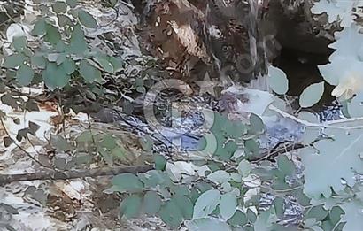 ÇANAKKALE/BİGA'DA DEREYE CEPHE,YOLU OLAN "5550M2"HARİKA ARAZİ.