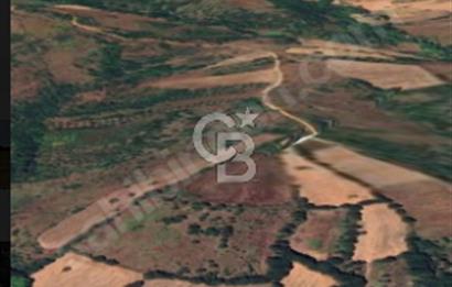 ÇANAKKALE/BİGA'DA DEREYE CEPHE,YOLU OLAN "5550M2"HARİKA ARAZİ.