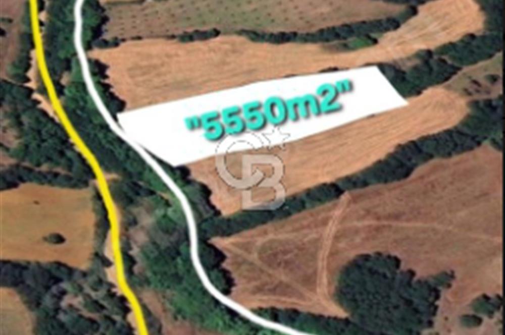 ÇANAKKALE/BİGA'DA DEREYE CEPHE,YOLU OLAN "5550M2"HARİKA ARAZİ.
