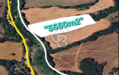 ÇANAKKALE/BİGA'DA DEREYE CEPHE,YOLU OLAN "5550M2"HARİKA ARAZİ.