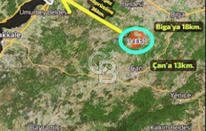 ÇANAKKALE/BİGA'DA DEREYE CEPHE,YOLU OLAN "5550M2"HARİKA ARAZİ.