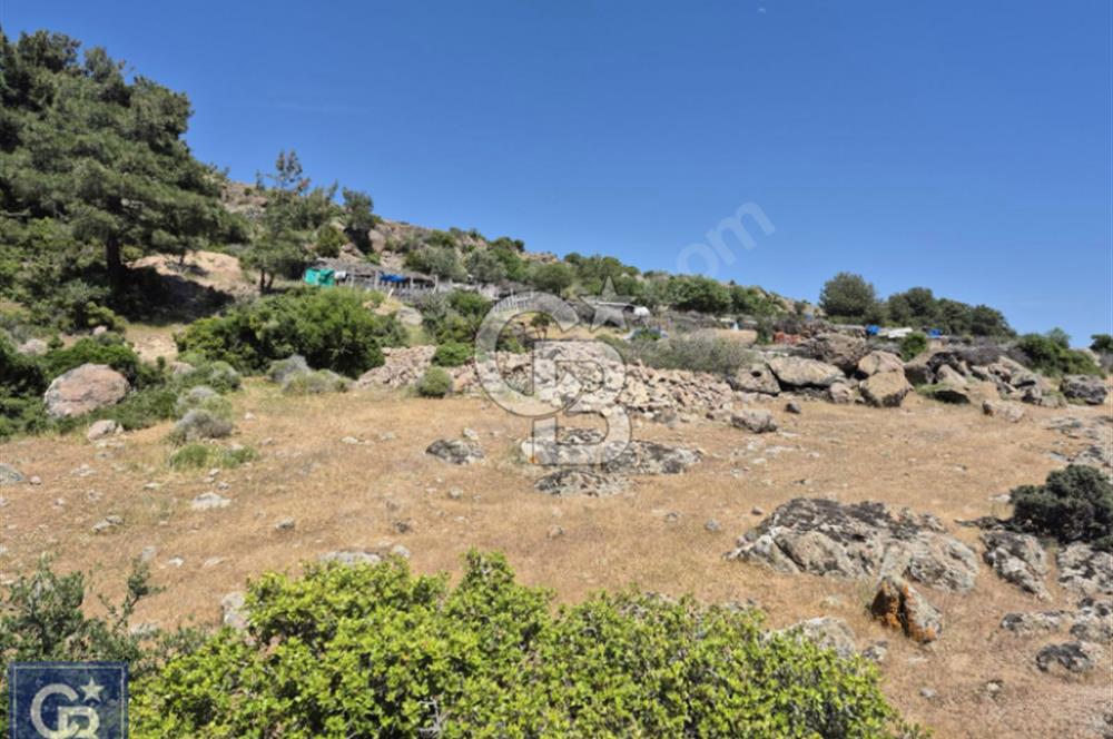 AYVACIK/KOCAKÖY'DE KÖYÜN DİBİNDE,RESMİ YOLU OLAN"5472M2 ARAZİ"