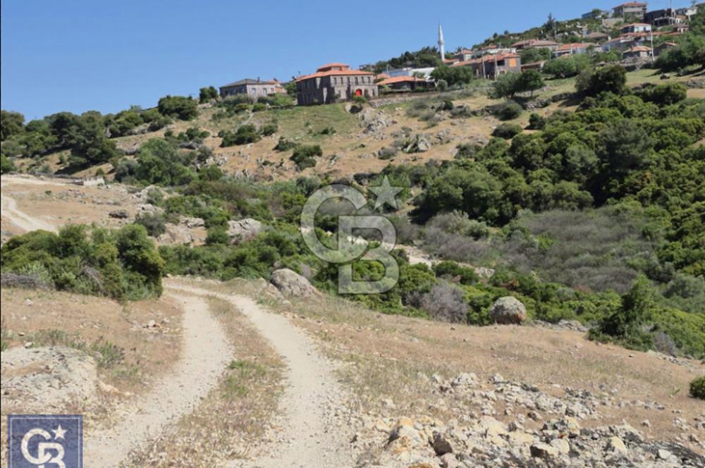 AYVACIK/KOCAKÖY'DE KÖYÜN DİBİNDE,RESMİ YOLU OLAN"5472M2 ARAZİ"