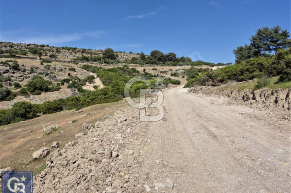 AYVACIK/KOCAKÖY'DE KÖYÜN DİBİNDE,RESMİ YOLU OLAN"5472M2 ARAZİ"