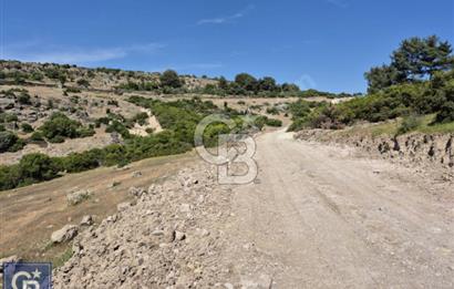 AYVACIK/KOCAKÖY'DE KÖYÜN DİBİNDE,RESMİ YOLU OLAN"5472M2 ARAZİ"