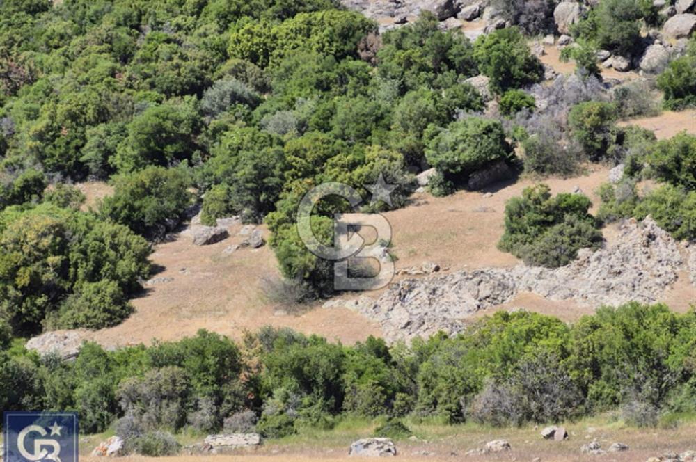 AYVACIK/KOCAKÖY'DE KÖYÜN DİBİNDE,RESMİ YOLU OLAN"5472M2 ARAZİ"