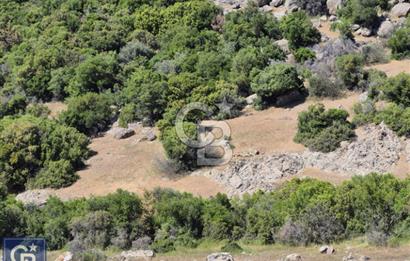 AYVACIK/KOCAKÖY'DE KÖYÜN DİBİNDE,RESMİ YOLU OLAN"5472M2 ARAZİ"